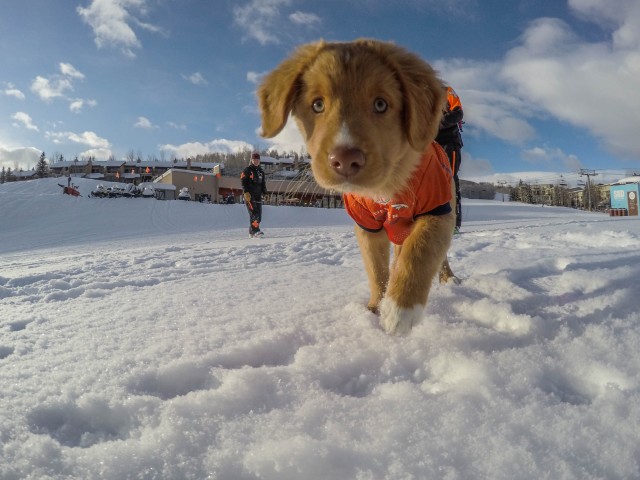 Aspen Snowmass