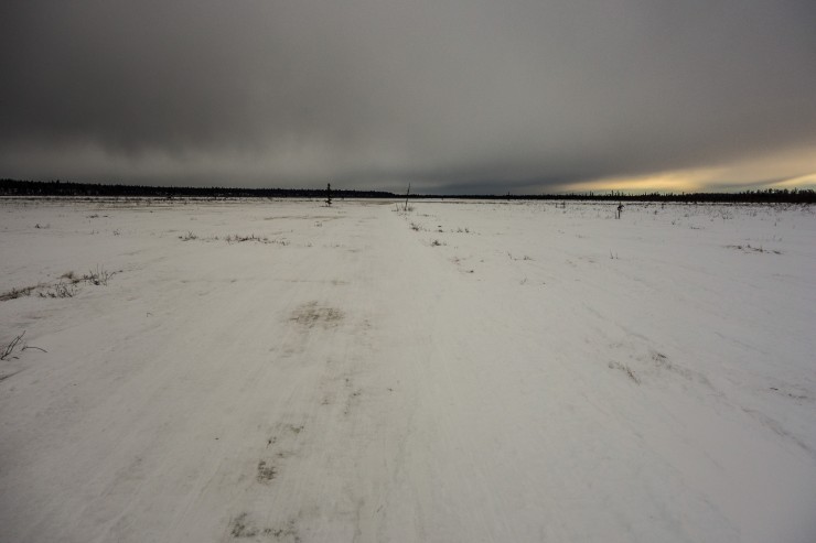 Crossing the Dismal Swamp during the Susitna 100. Photo: Seth Adams