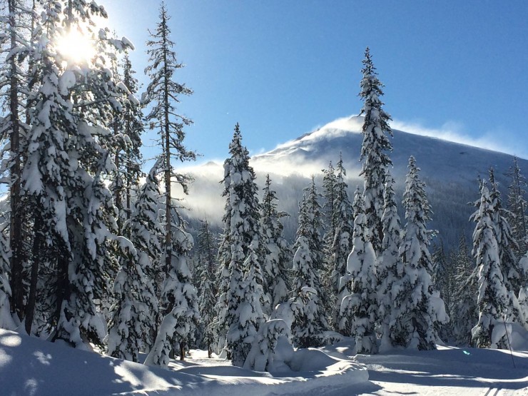 New Year's Day 2016 at the Mt. Bachelor Nordic Center close to Bend, Ore. (Photograph: Lew Becker/Mt Bachelor Nordic Center Facebook)