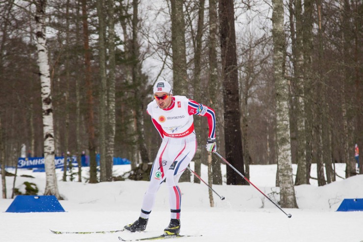 Petter Northug Jr., racing the 15 k freestyle at the 2015 Globe Championships in Falun, Sweden. It was by far his worst showing at a globe championships: he positioned 62nd. (Photo: Fischer/NordicFocus) 