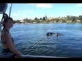 Wakeboarding, with dolphins!