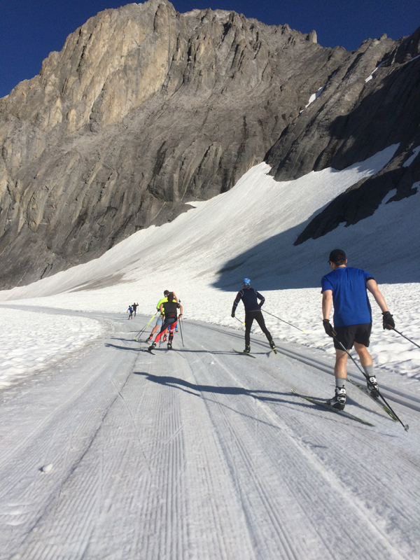 Haig Glacier