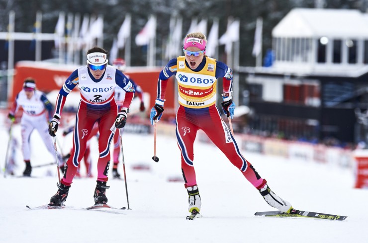 Therese Johaug (r) leads Norwegian teammate Heidi Weng during the women's ten k freestyle mass commence at the Planet Cup in Falun, Sweden. The duo went on to spot initial and second, respectively. (Photograph: Fischer/NordicFocus)